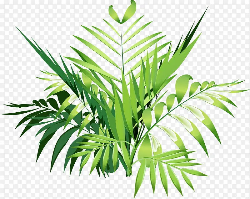 ��ɫҶ��-������