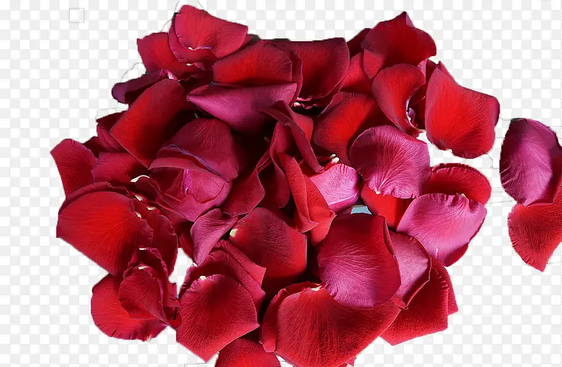 õ�廨��-������