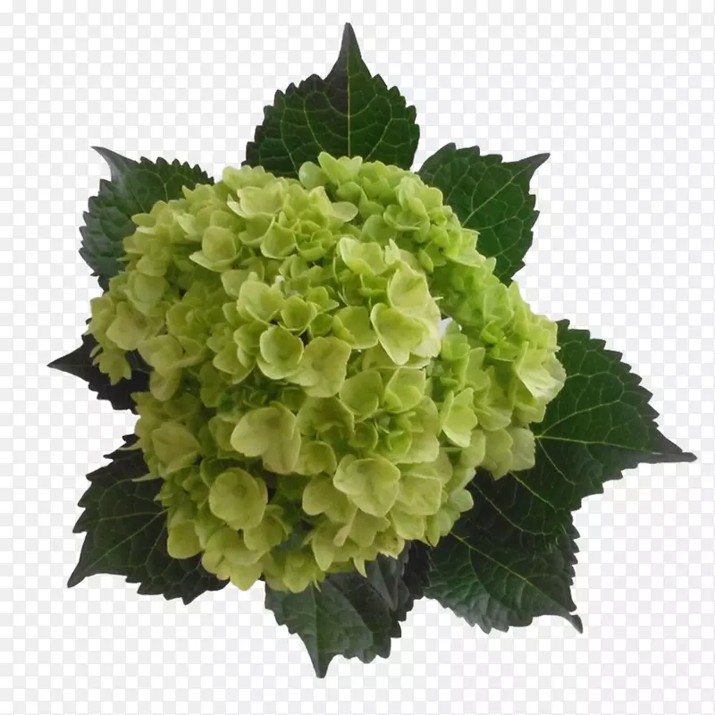 �����л�-������