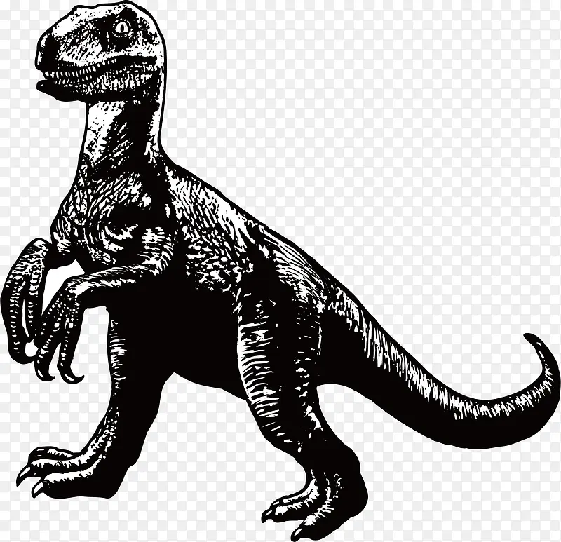 ʷǰ�����ز�-������