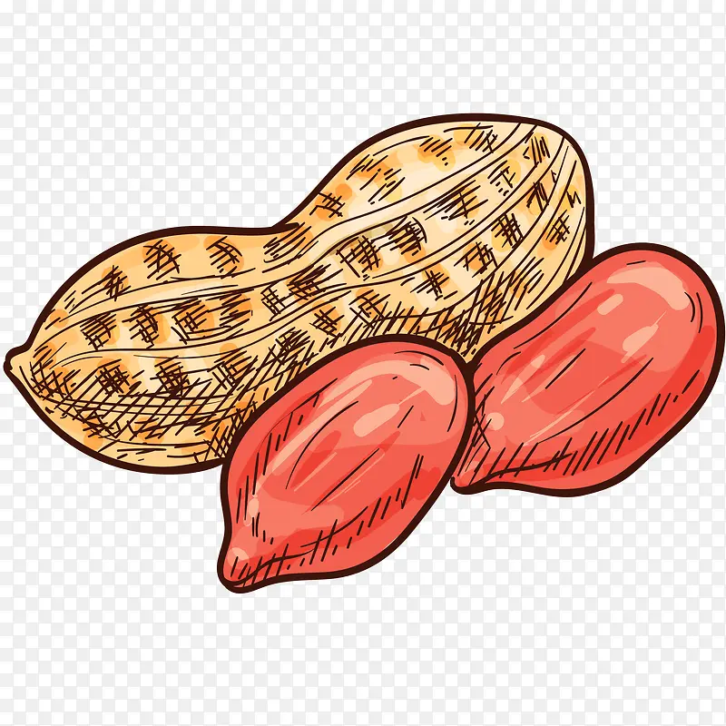 ��Ƥ����ʸ���廭-������