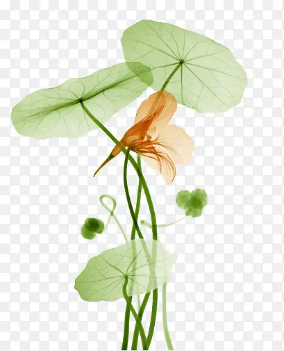 ˮ�ʻ��ɻ�-������