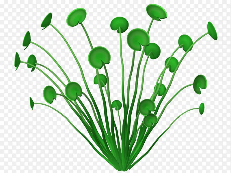 �ֻ���ɫС��-������