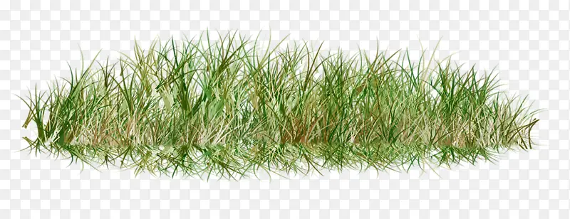 һ��С��-������