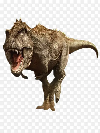 ����-������