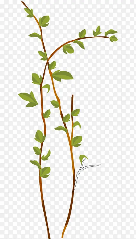 �ֻ濨ͨ��֦��Ҷֲ��-������