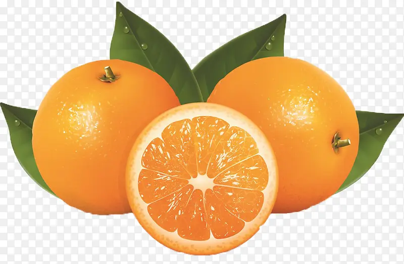 ����ˮ������ͼƬ-������