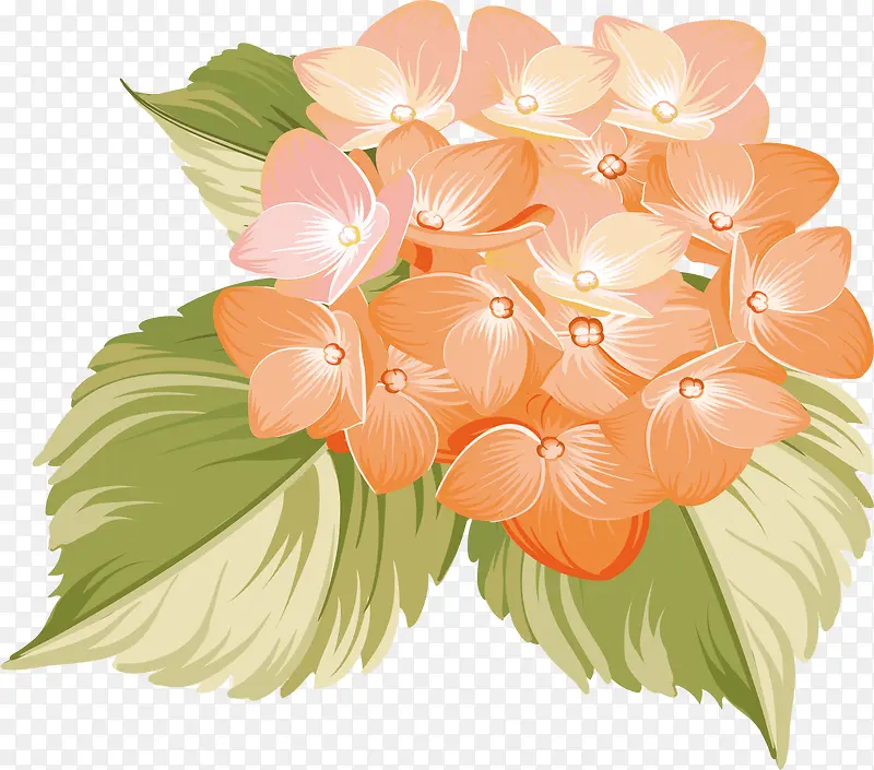 ����Ψ��ˮ�ʻ�ɫ����-������