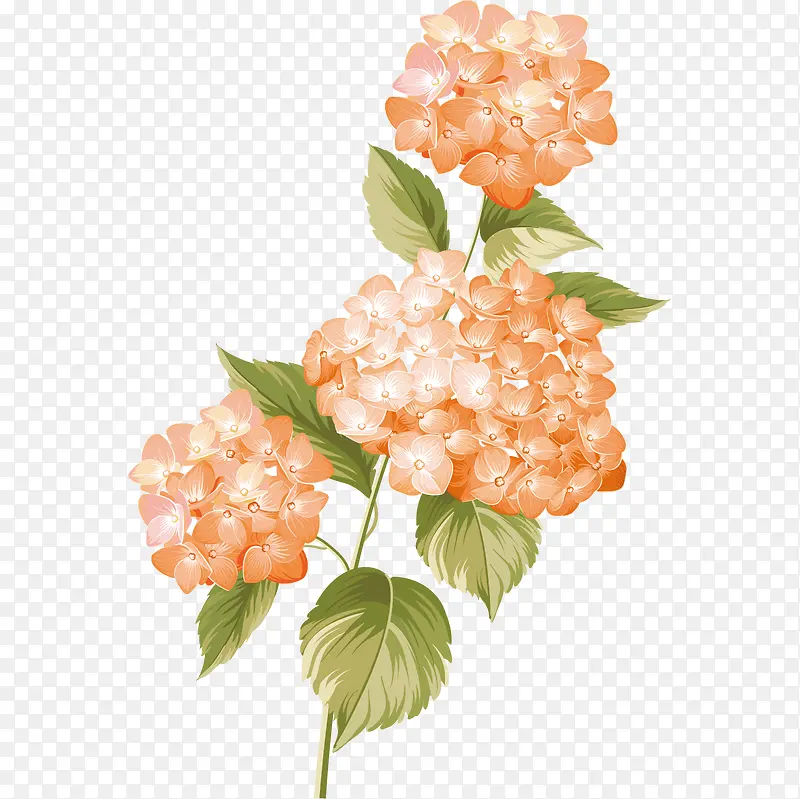 ����Ψ��ˮ�ʻ�ɫ����-������