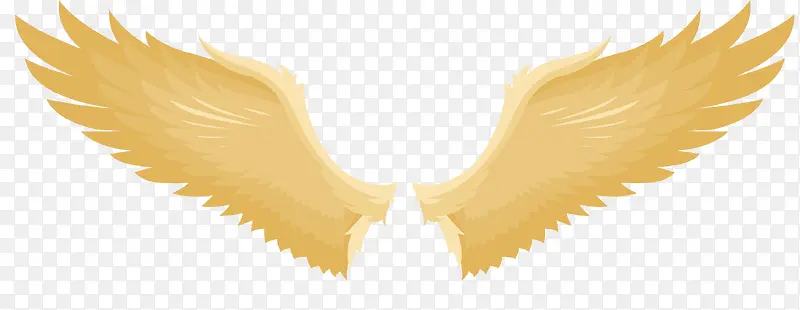 չ����ʸ����ͨ��ɫ���-������