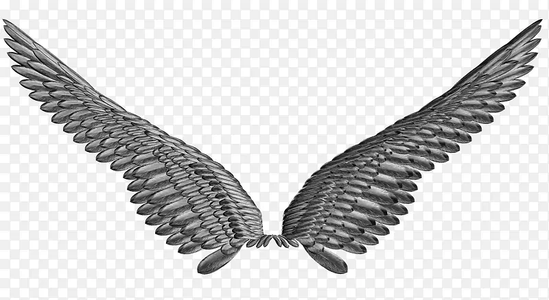 ���չ��-������