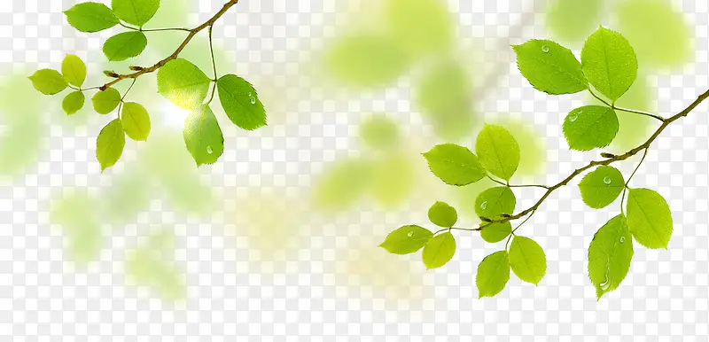 ��֦-������