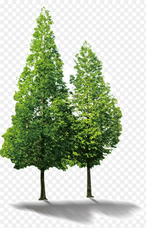 �չ��µĴ���-������