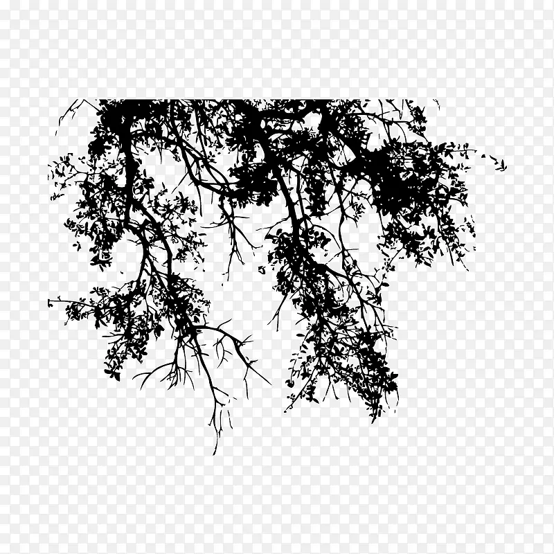 ��֦Ӱ��-������