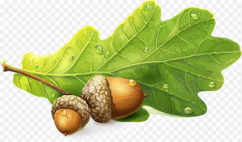 �ɰ��ó�����-������