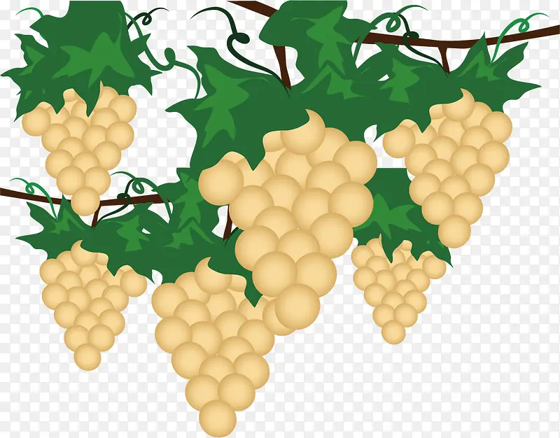 ʸ��ʱ������ٿƱ�ƽ���ز�-������