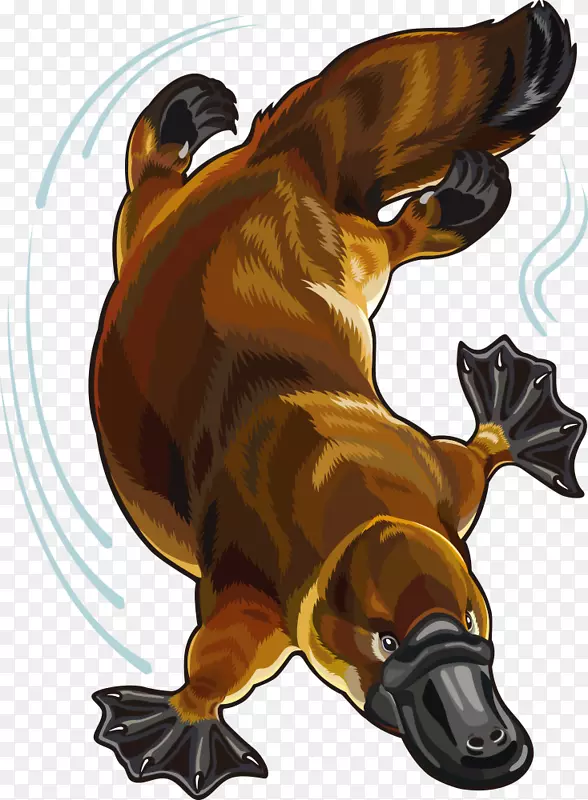 �Ĵ�����Ѽ���޶��������������-������