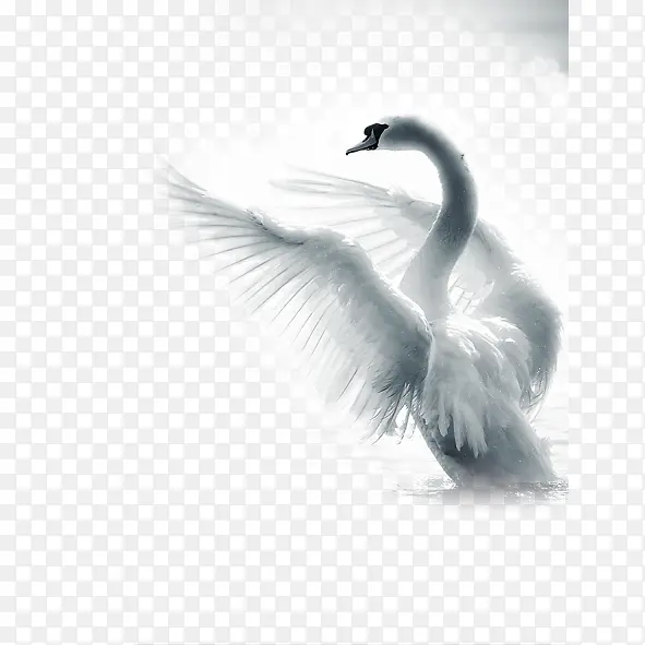 ���-������