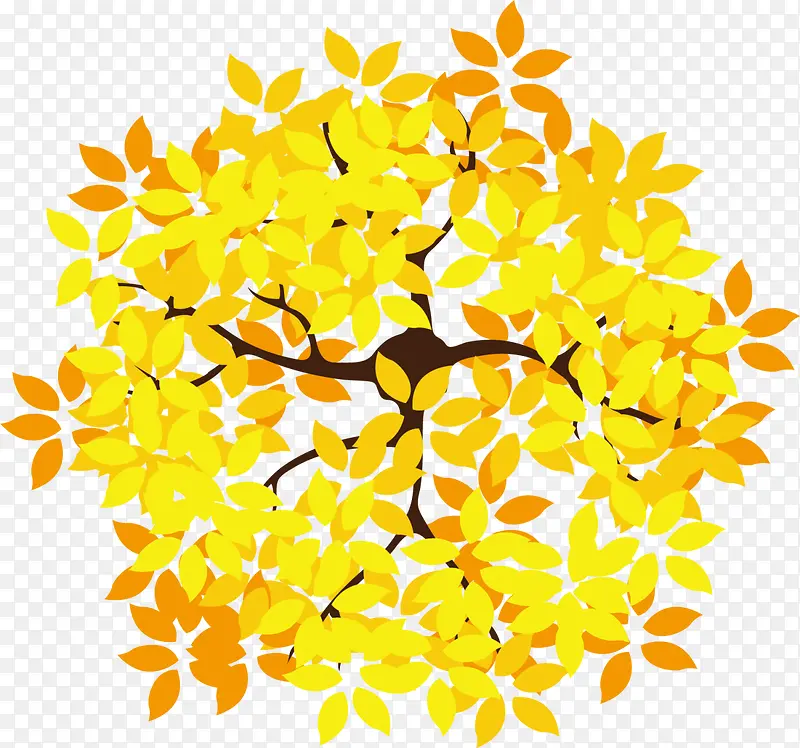 �＾��ɫ��ֲ֦��-������