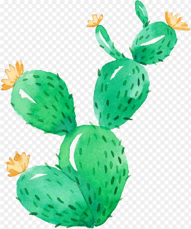 С���²廭�����ƿ�ͨ��������-������