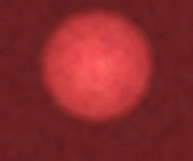 ���ⱳ������-������