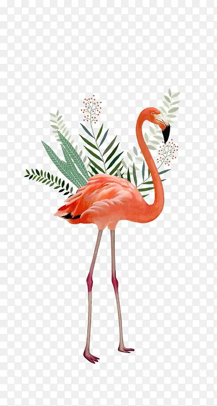 С�ݺ͵�����-������