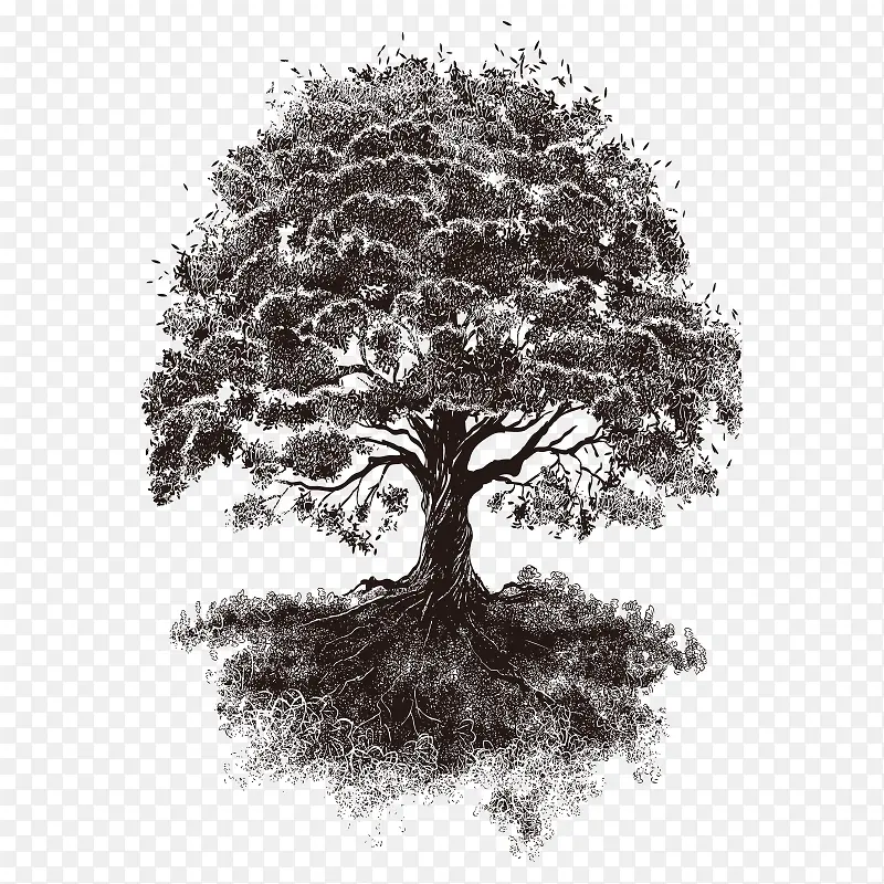 �� ��ľ ľ ֲ��-������