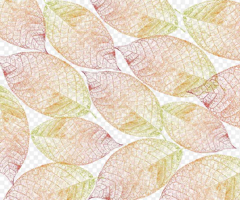 �����Ҷ���米��-������