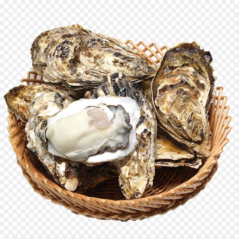 �Լ���ֳ���-������