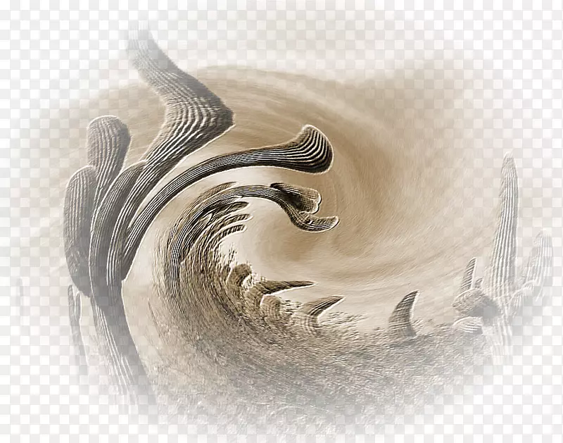 ��ëƤ�ﲩ��-������