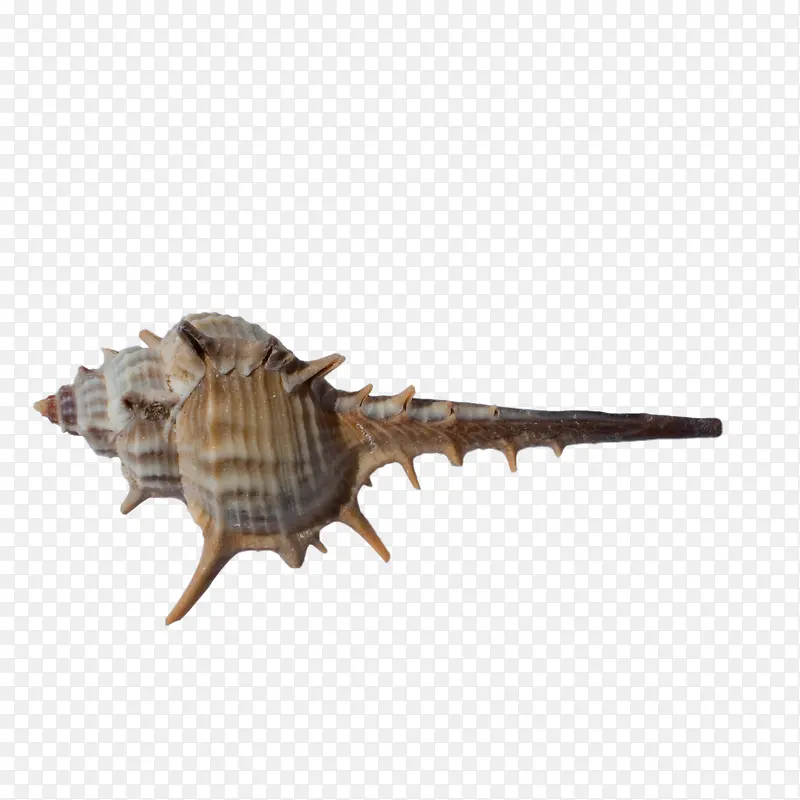 ��ɫ���⺣��-������