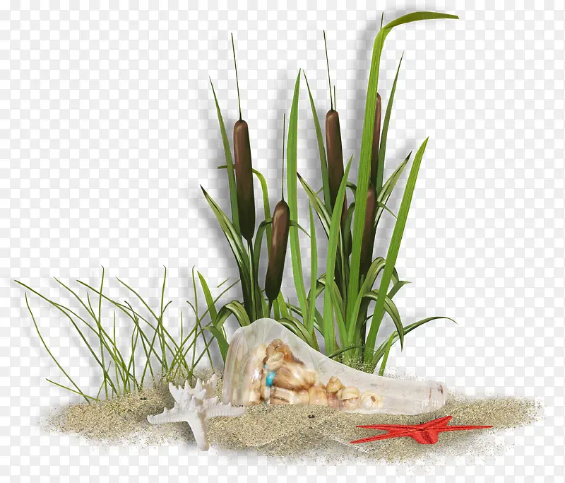 ɳ�Ӻ���С��-������