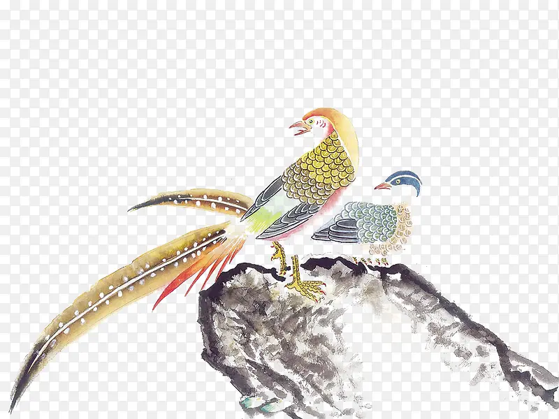 ������ֻ��ȸվ����֦��-������