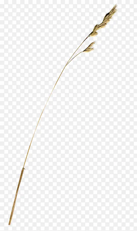 ʵ�������-������