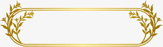 ��ɫֲ��߿�-������