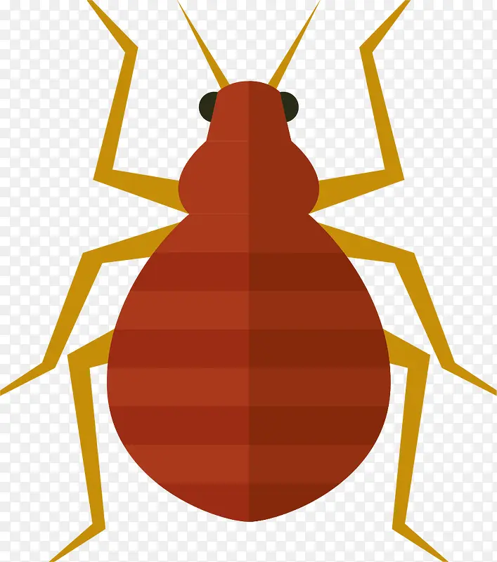 ��Բ��ʸ����ͨ����걾-������