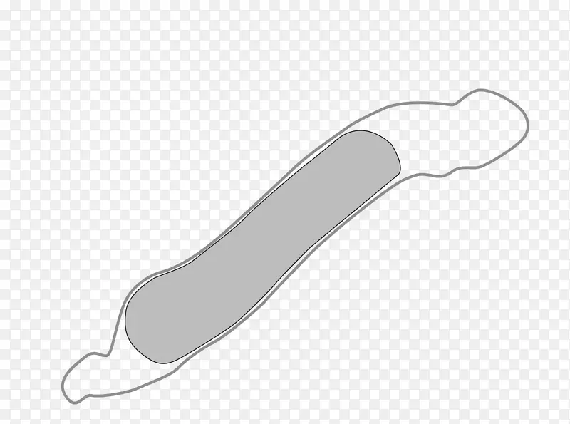 ������ָ-������