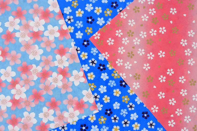 �黨���ϱ���-������