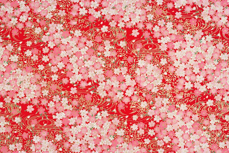 �黨���ϱ���-������