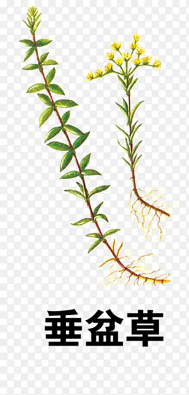 �����-������