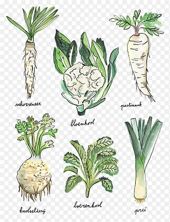 ˮ���߲�-������