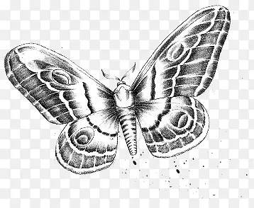 ����-������