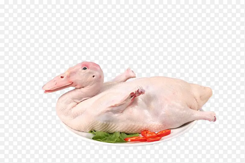 ��Ʒʵ��һֻѼ��-������