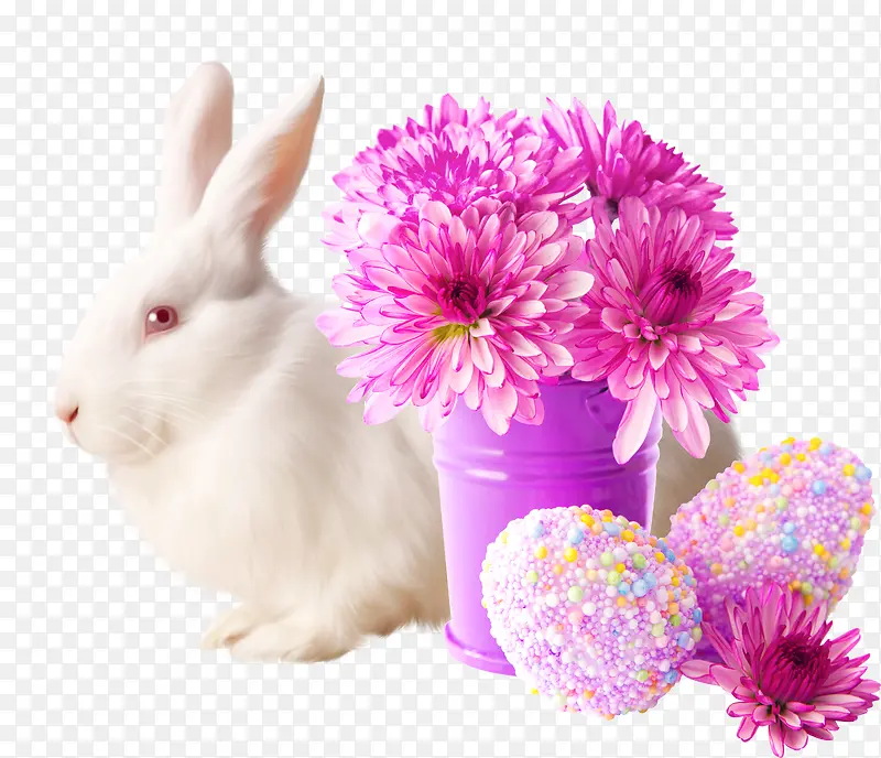 ����-������