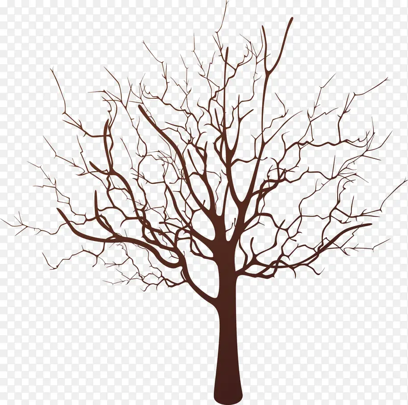 ��������-������