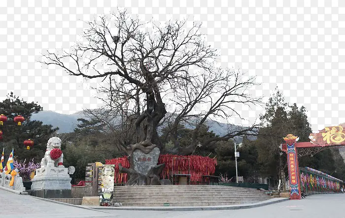 ��ͺͺ����Ը��-������