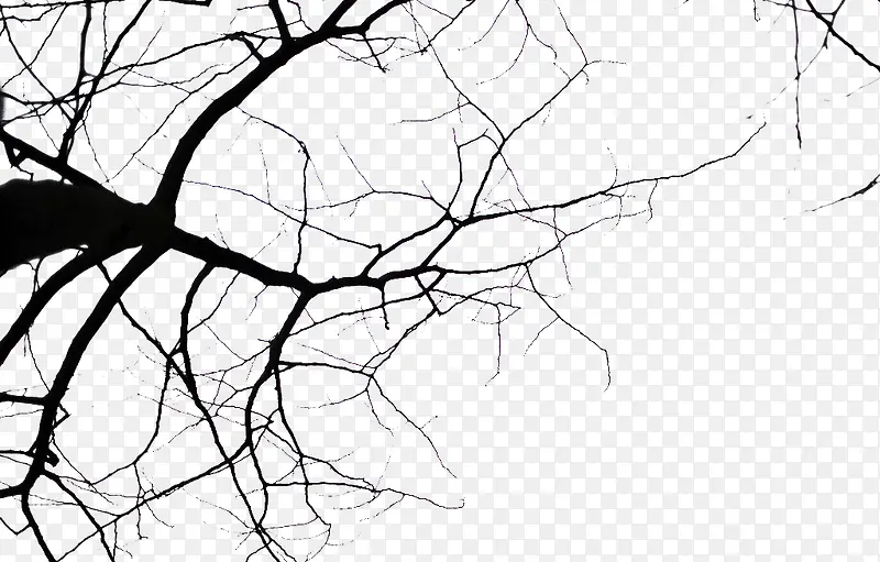 ��ͺͺ�Ŀ���֦-������