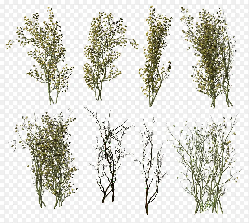 ����ľ�ɫ-������