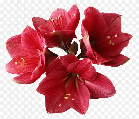 Ψ������ͼƬ����ͼ���ز�-������