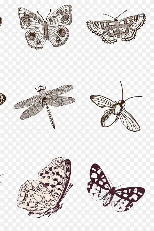 �ֻ�С����-������